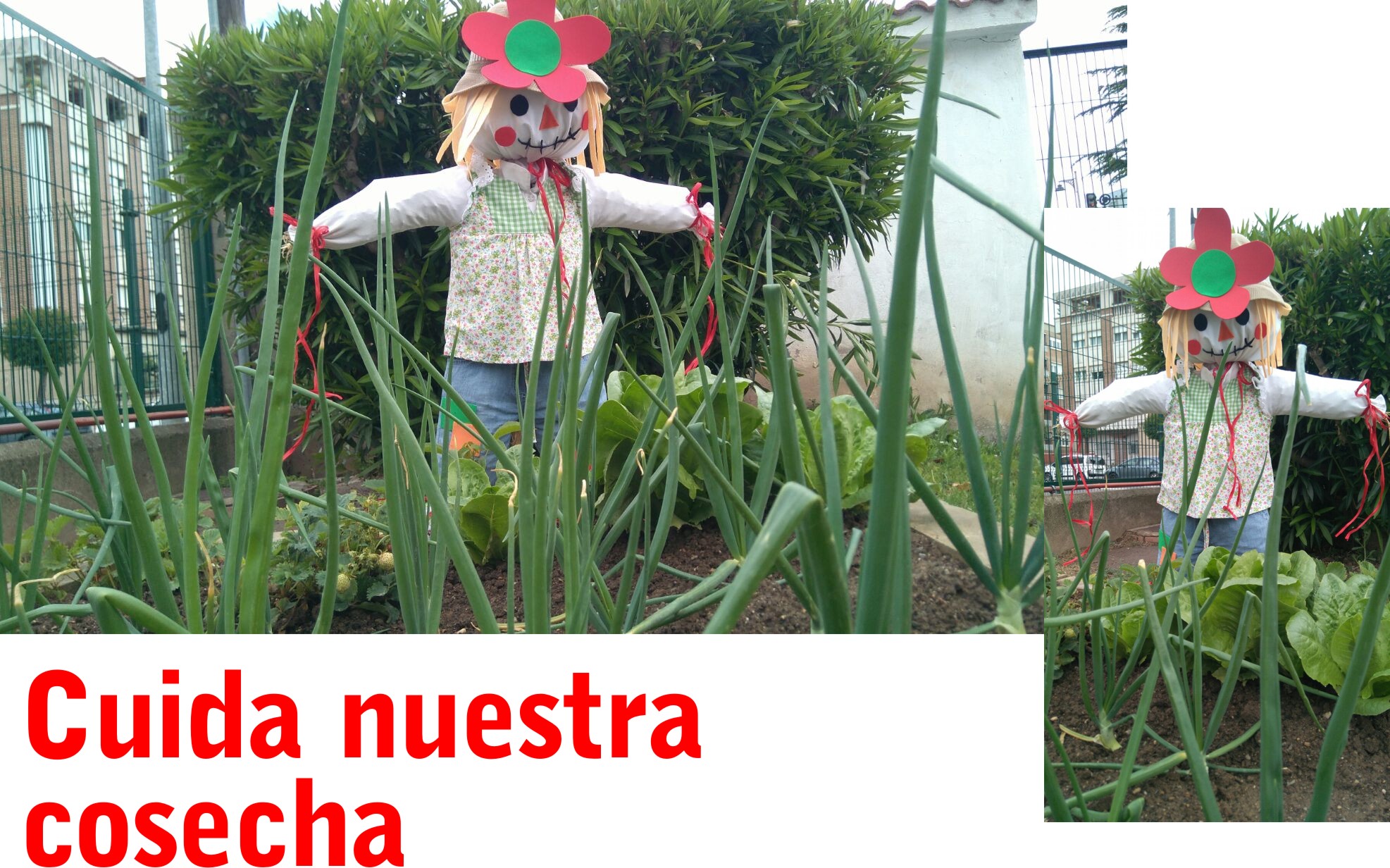 16espantapajaros1