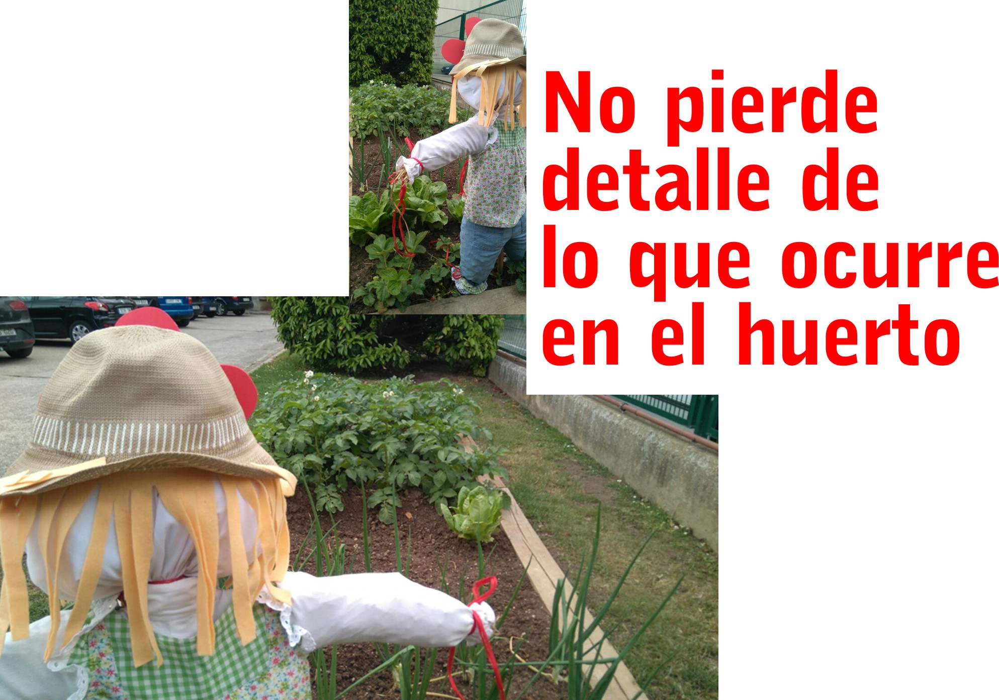16espantapajaros5