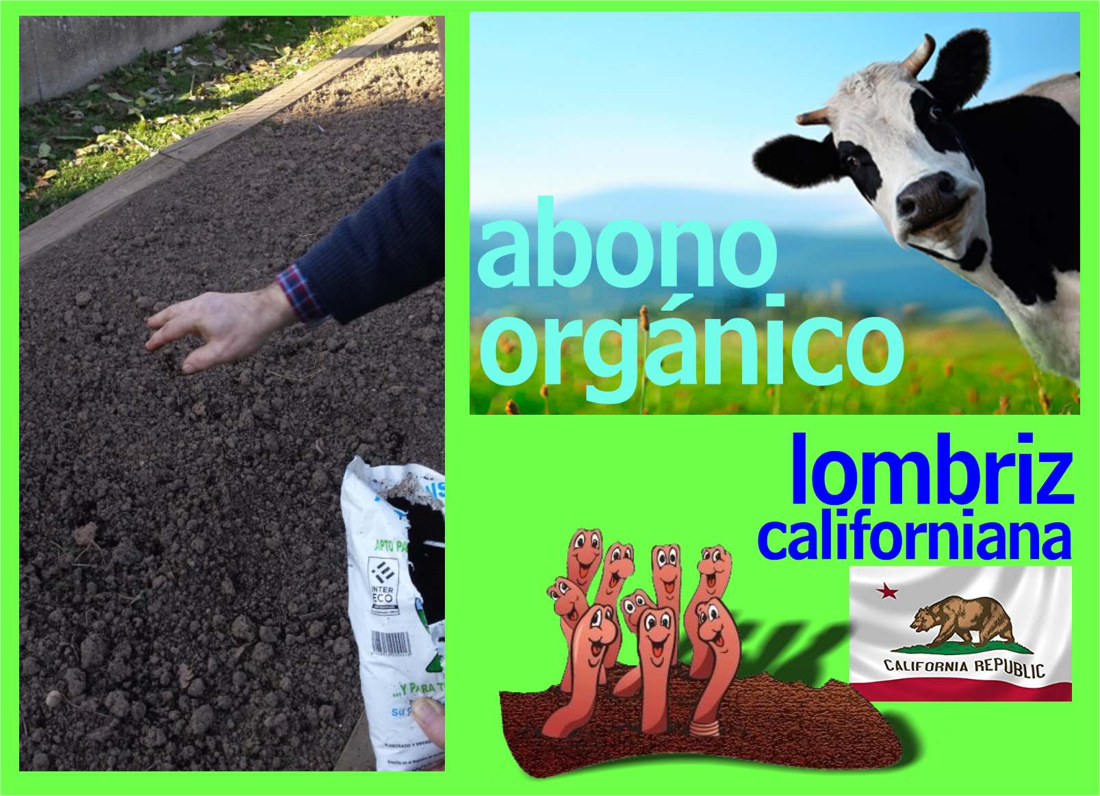 abonorganico2