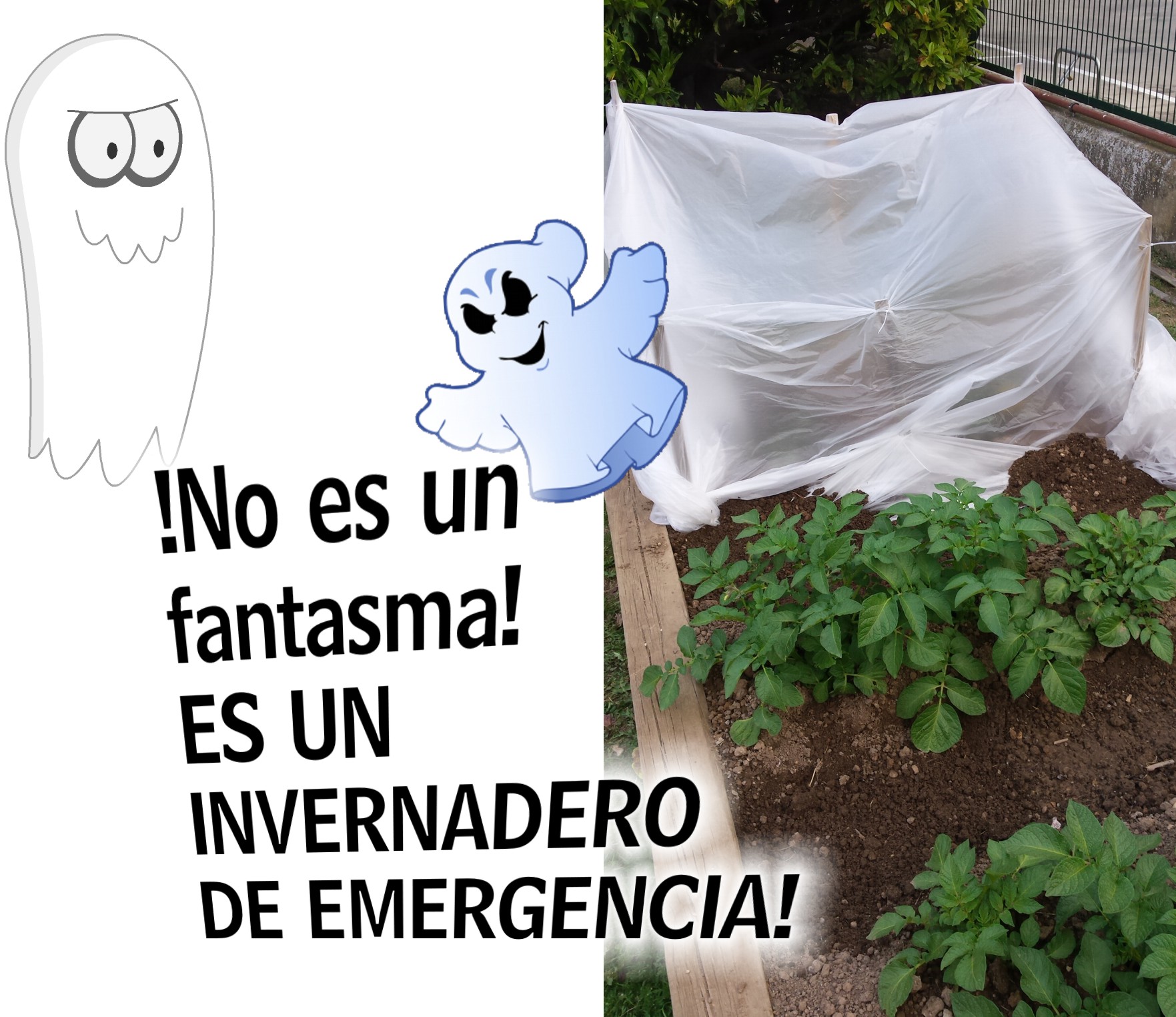 fantasma