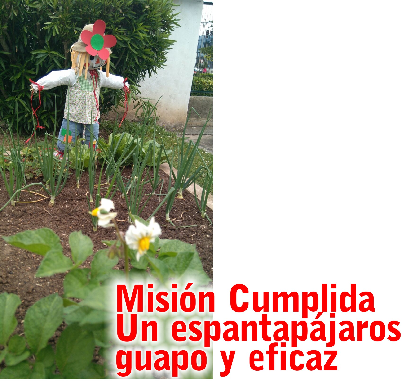 misioncumplida2