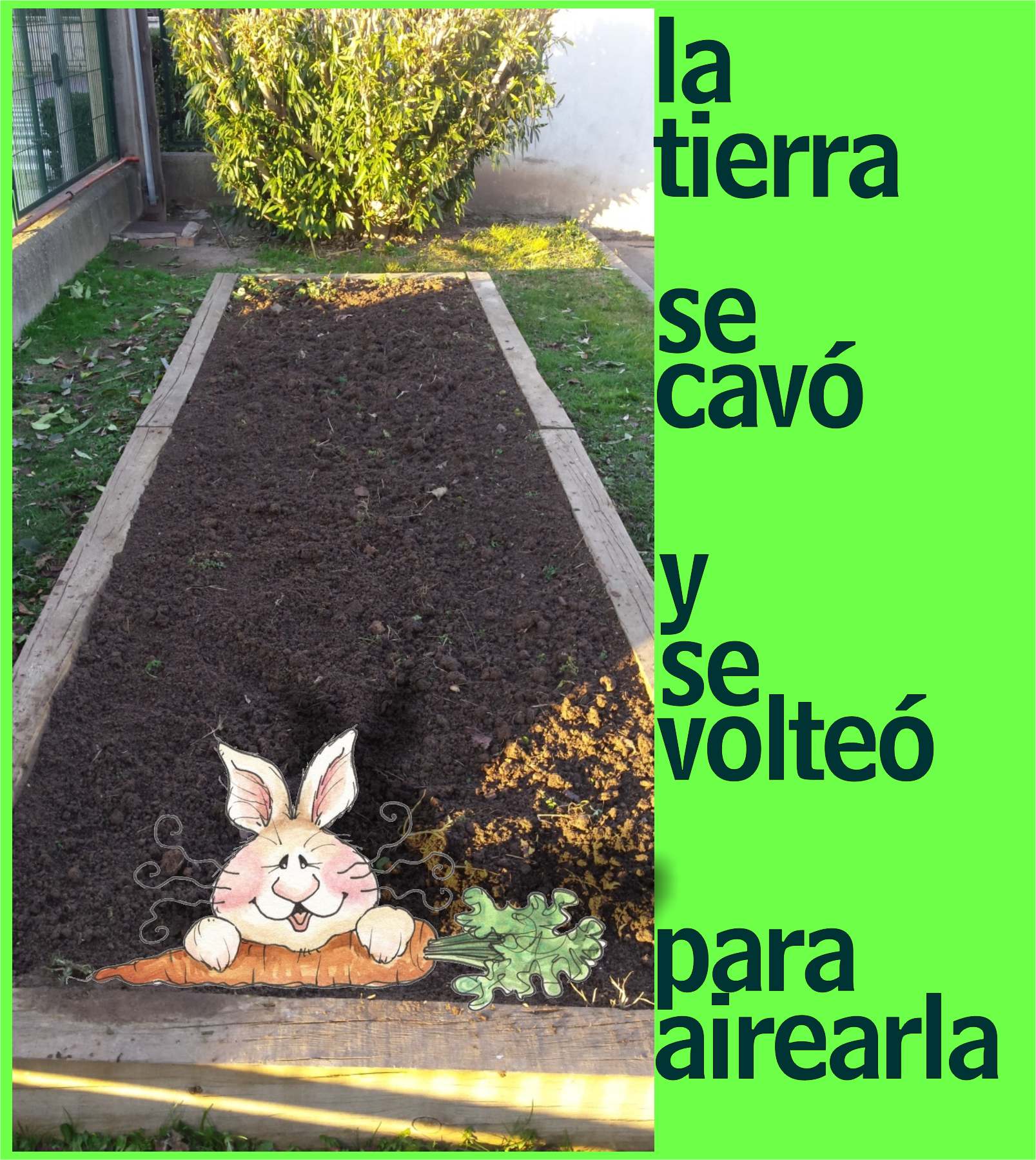 secavo1